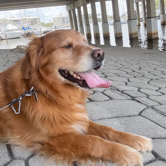 Meet your Posher, Michele - Picture 1 of 1